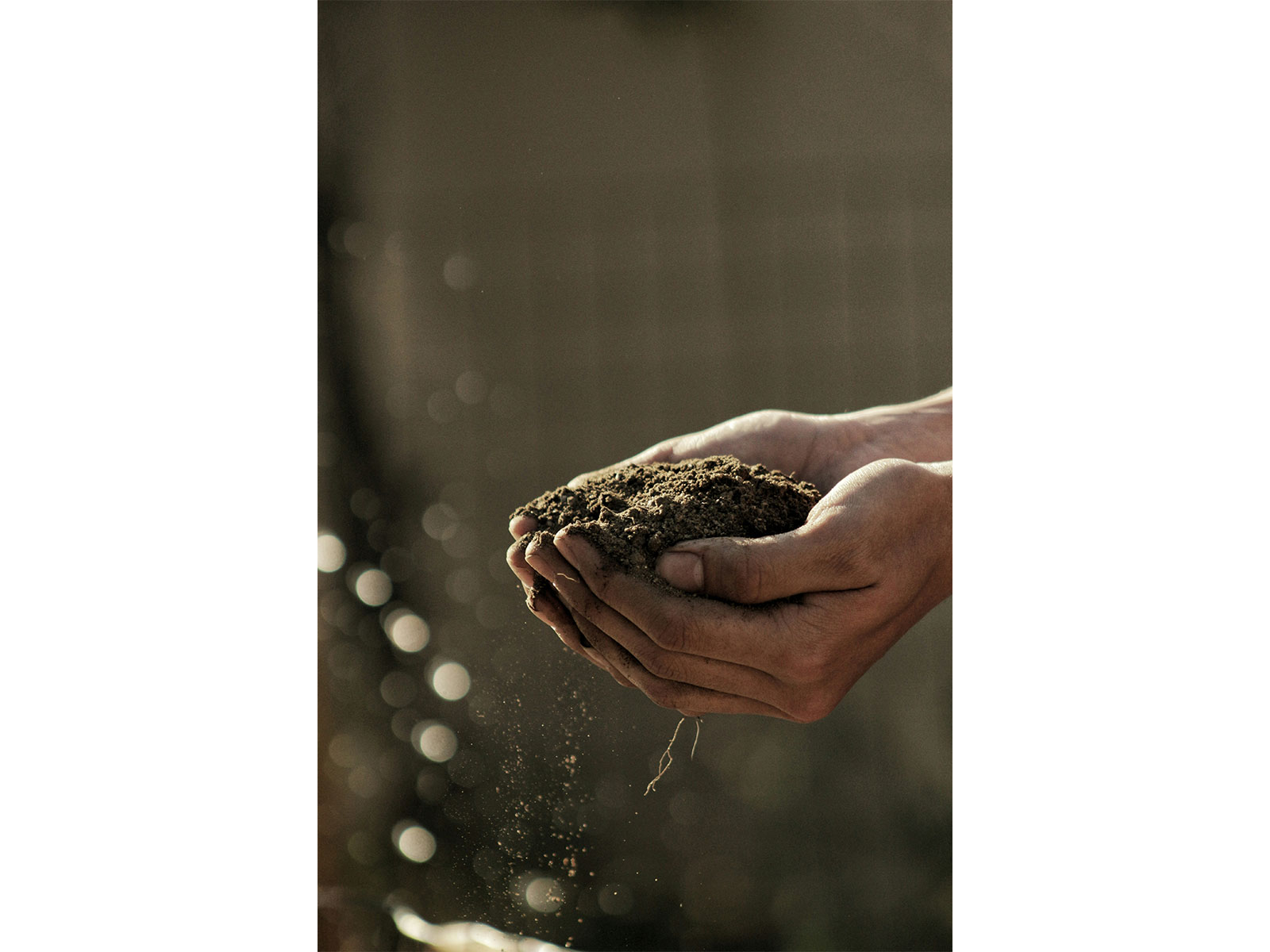 Representative Image (Photo/unsplash) Representative Image (Photo/unsplash)