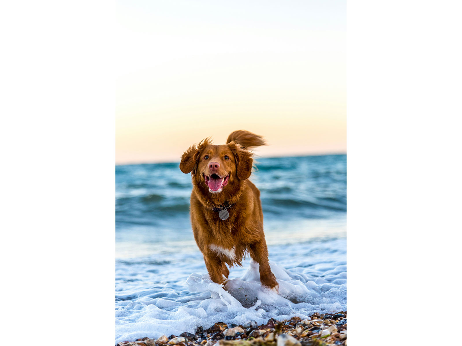 Representative Image (Photo/Unsplash)