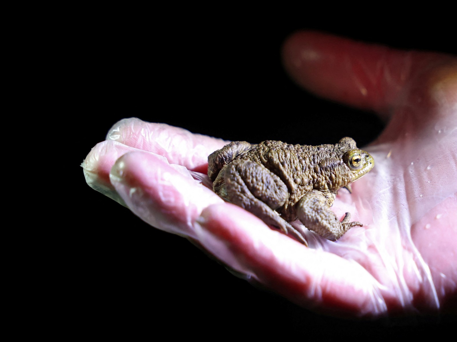 Representative image (Photo/Reuters) Representative image (Photo/Reuters)