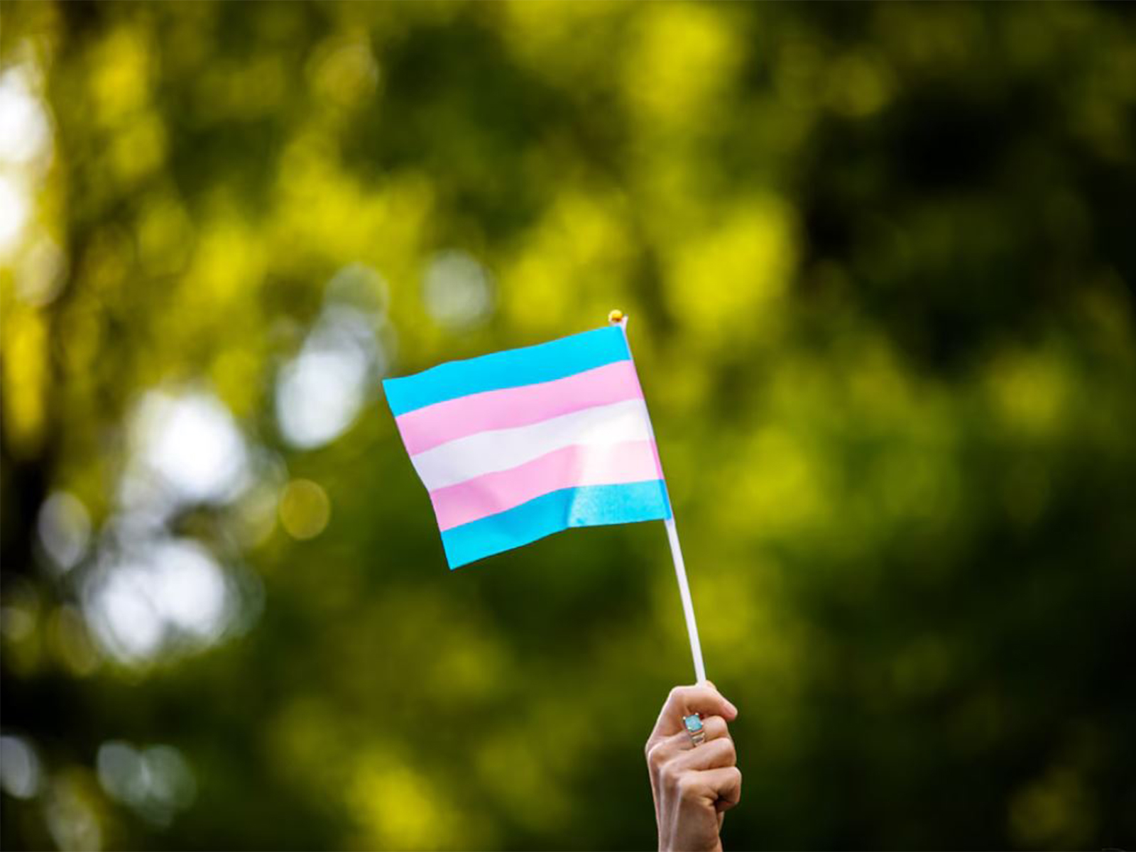 Transgender rights activist waves a transgender flag (Photo/Reuters) Transgender rights activist waves a transgender flag (Photo/Reuters)