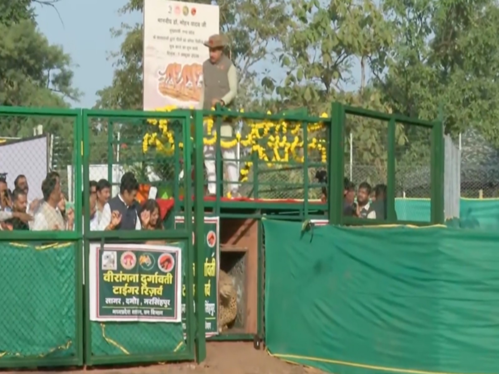 MP CM Mohan Yadav is releasing the Cheetah in Veerangana Durgavati Tiger Reserve (Photo/ANI)