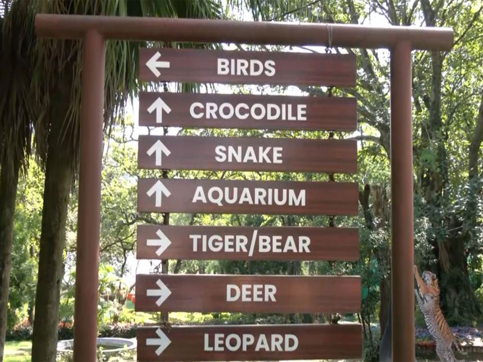 Dehradun Zoo (Photo/ANI)