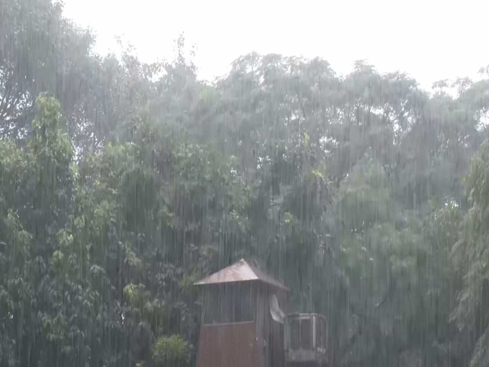 Heavy rainfall lashes parts of Delhi (Photo/ANI)