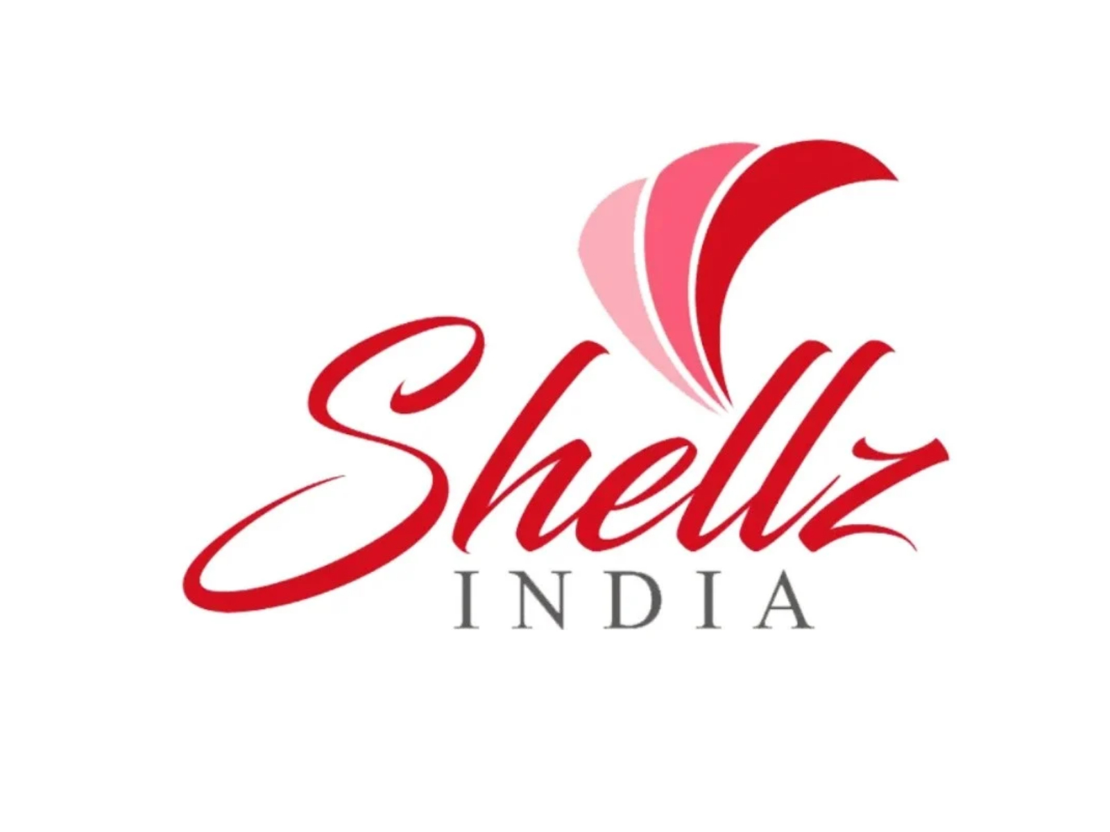 Shellz India Limited Secures Rs 16.19 Crore from Anchor Investors Ahead of SME IPO Opening Shellz India Limited Secures Rs 16.19 Crore from Anchor Investors Ahead of SME IPO Opening
