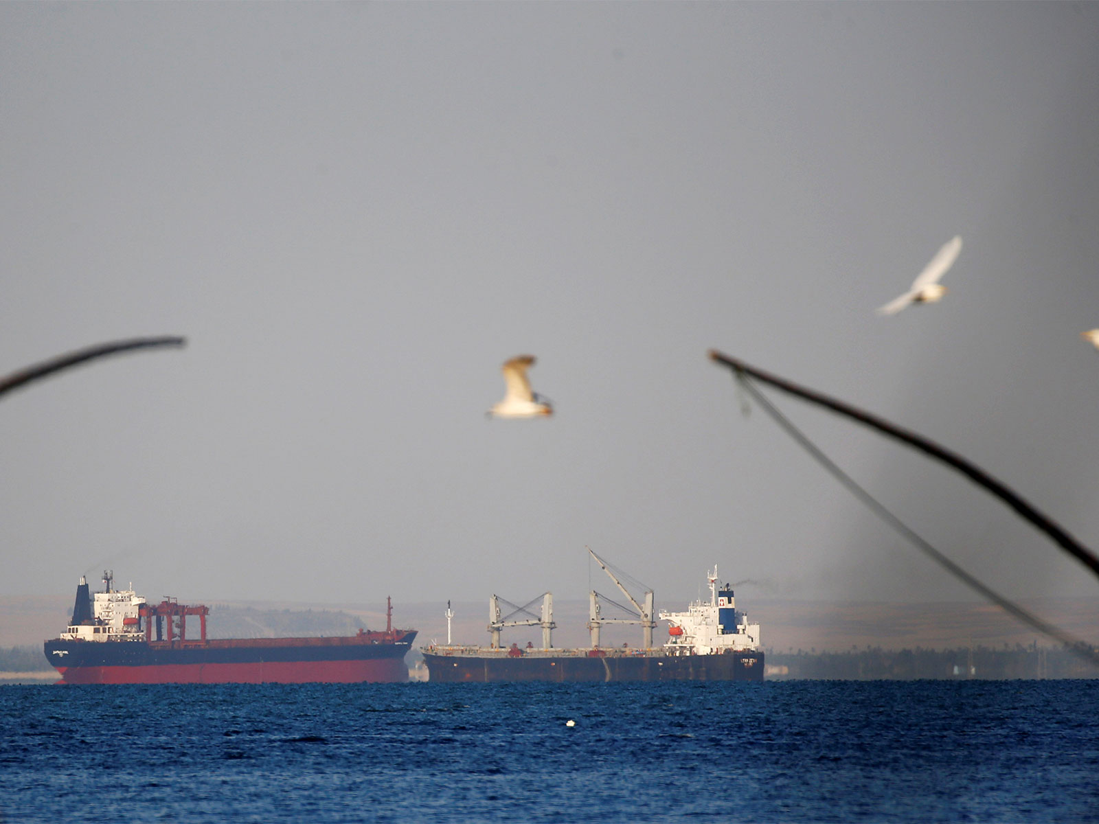 Representative Image (File Photo/Reuters)