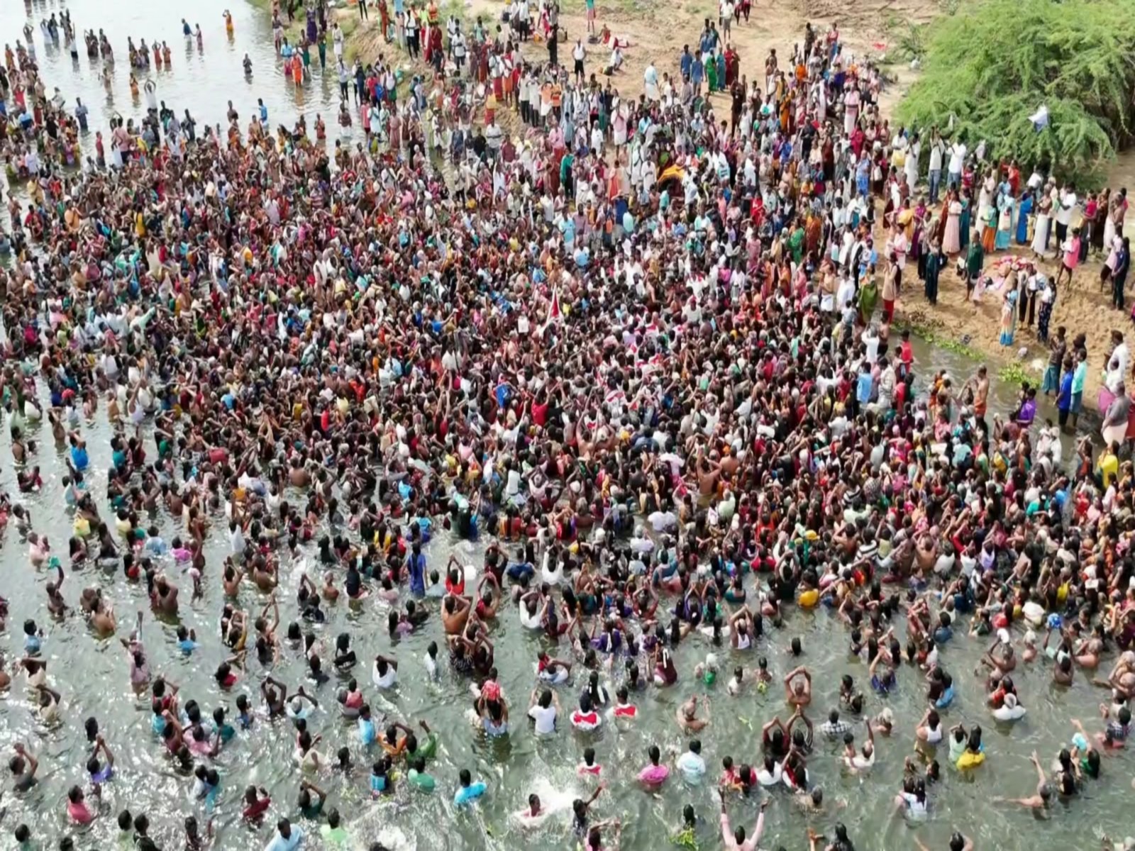 Thousands take holy dip in Akhanda Cauvery for Aippasi Thula Snanam (Photo: ANI) Thousands take holy dip in Akhanda Cauvery for Aippasi Thula Snanam (Photo: ANI)