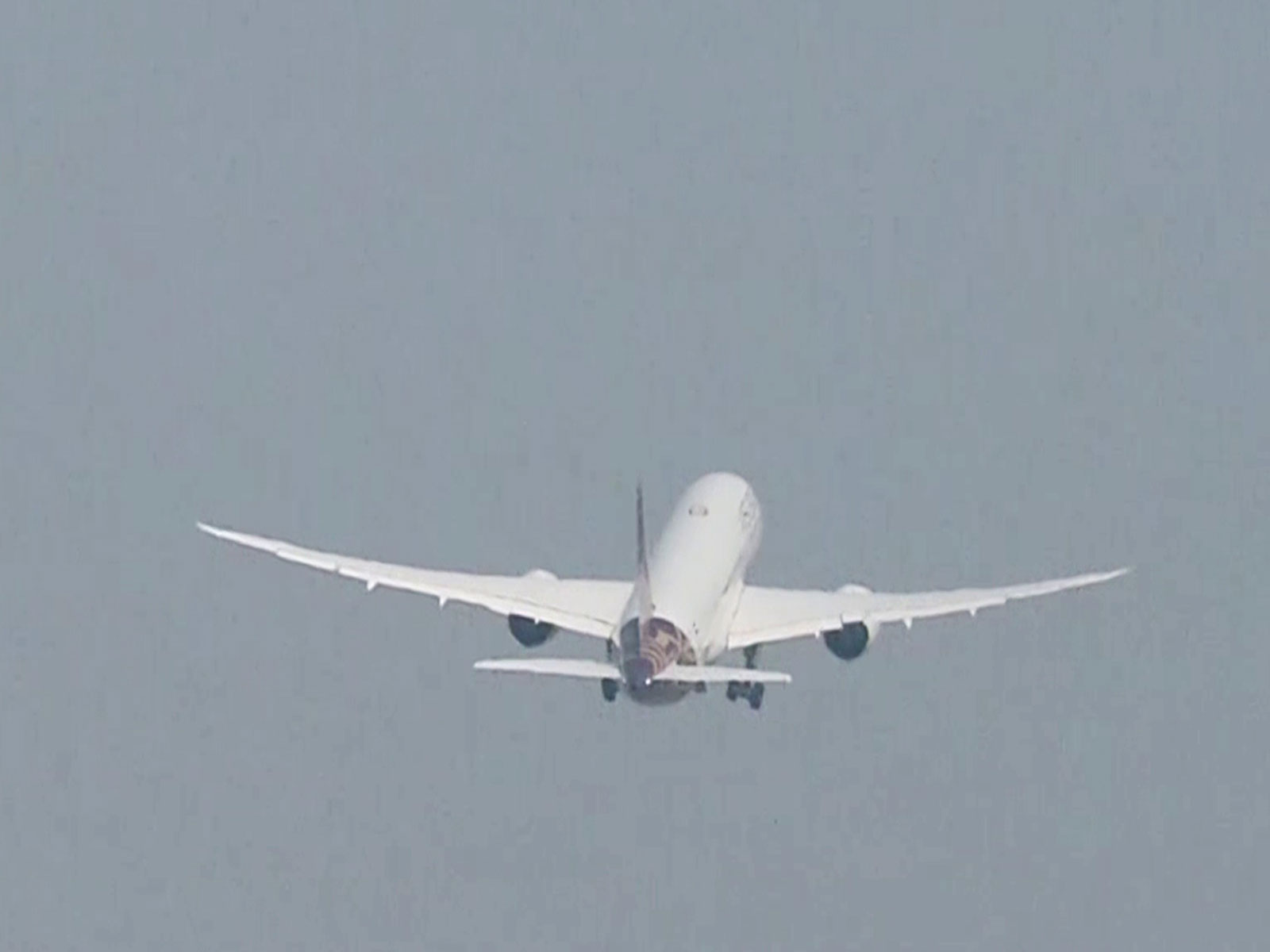 Air India flight (FIle Photo/ANI) Air India flight (FIle Photo/ANI)