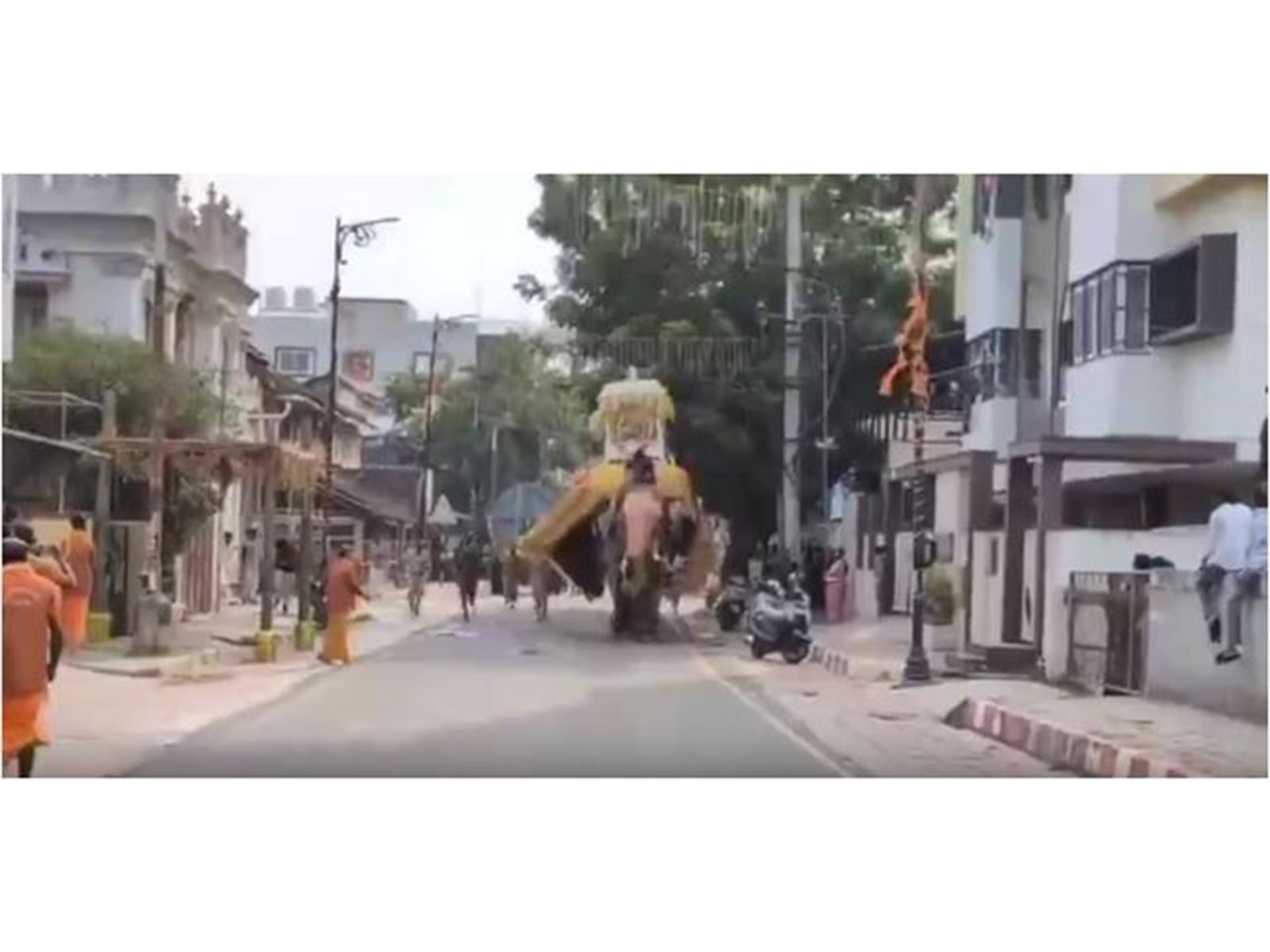 Visual of Somanna Elephant (Photo/ANI)