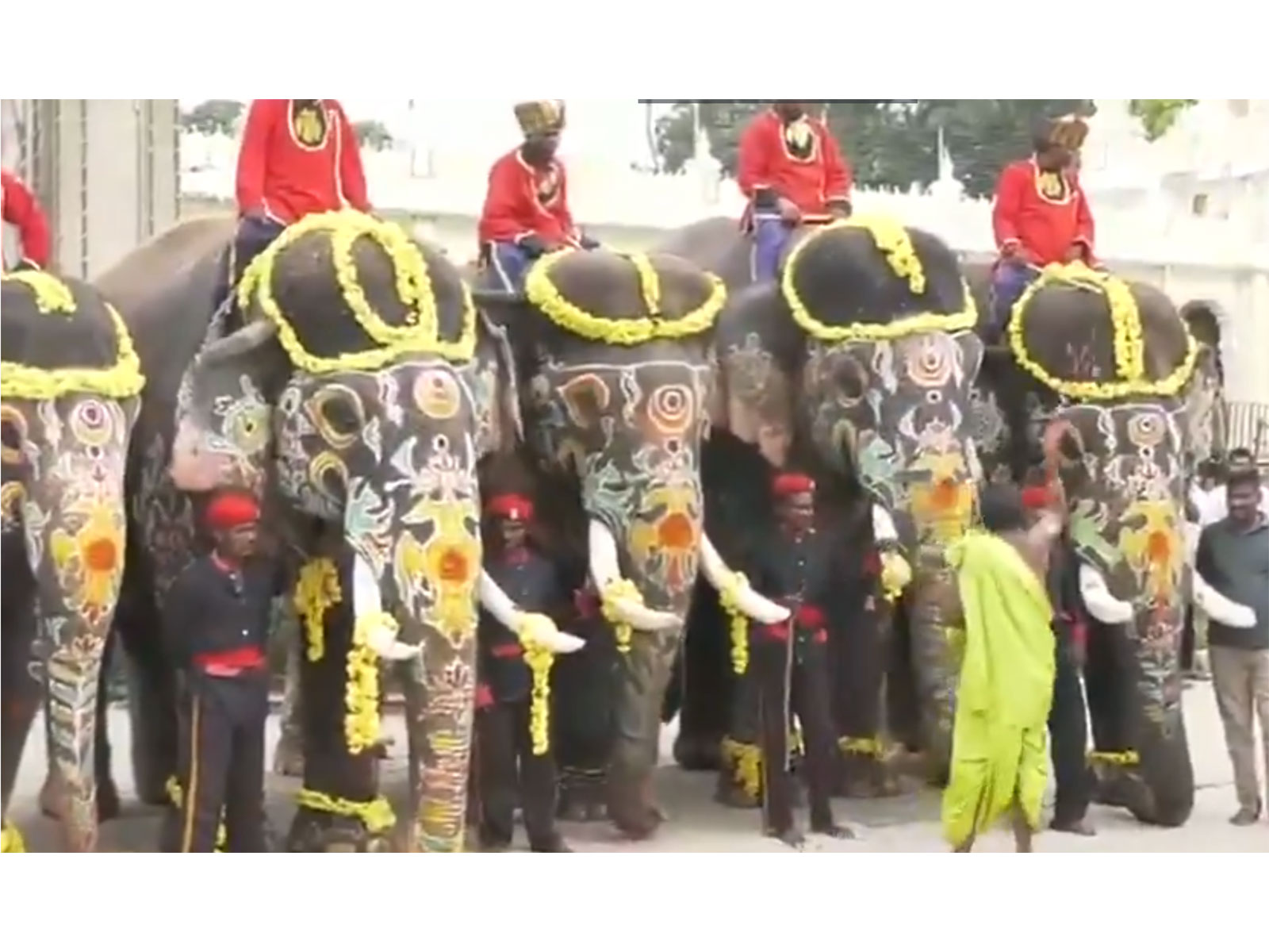 Puja performed as elephant squad prepares to return to forest (Photo/ANI) Puja performed as elephant squad prepares to return to forest (Photo/ANI)