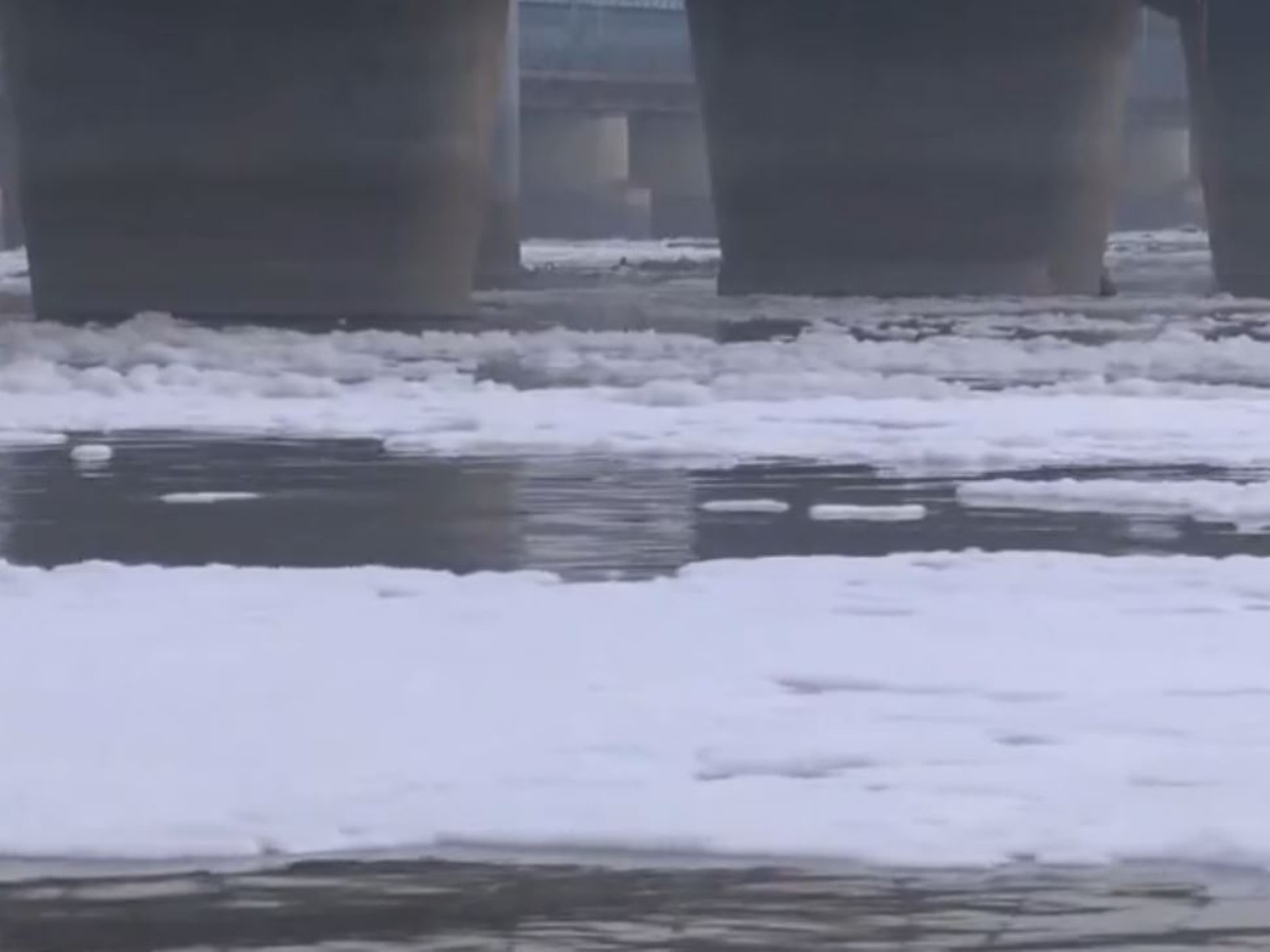 A thick layer of toxic foam seen floating on the surface of the Yamuna River near the Kalindi Kunj (Photo/ANI)