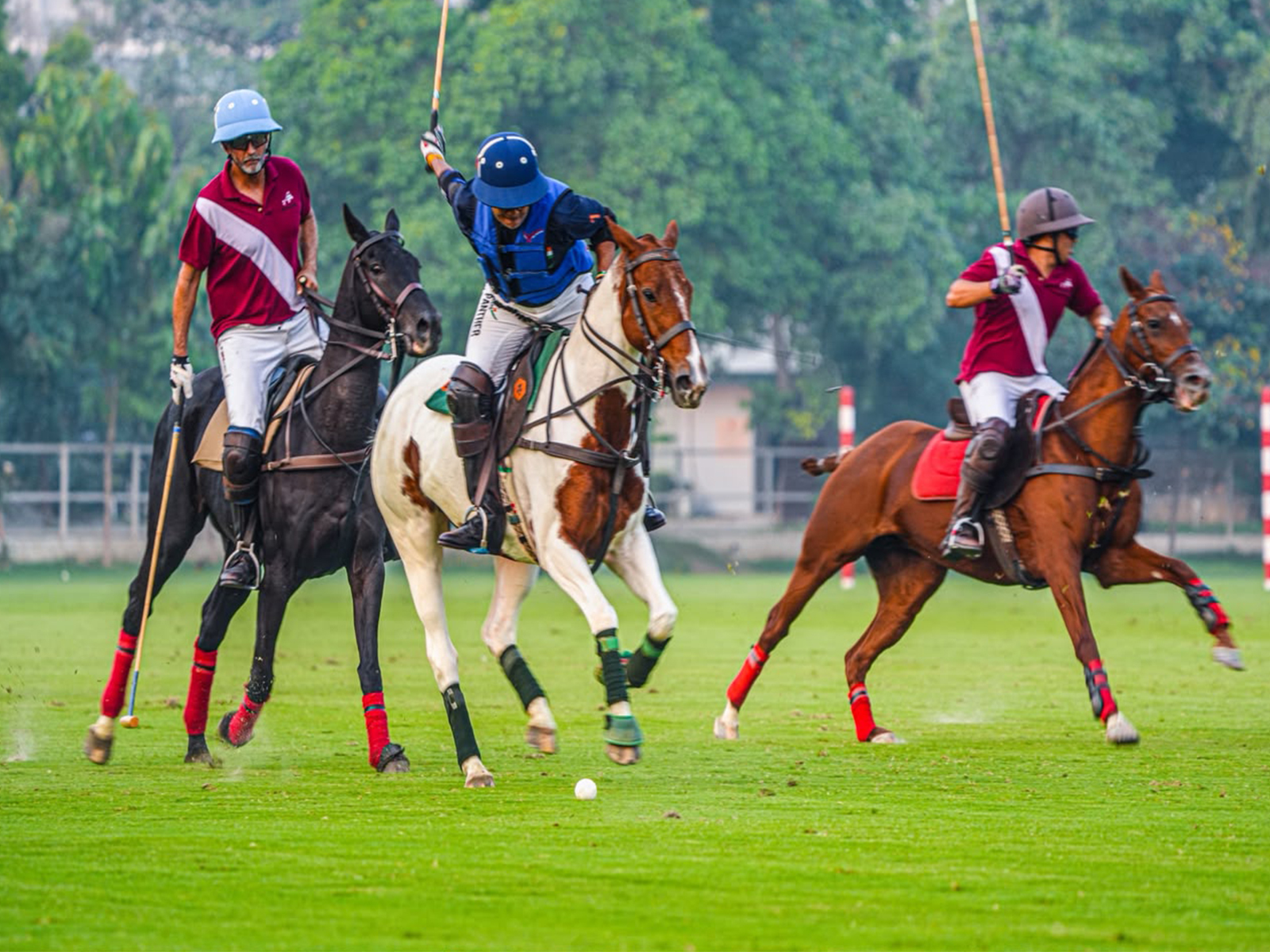 Jindal Panther clinches Championship Title with Commanding 10–5.5 victory over Aravali Jindal Panther clinches Championship Title with Commanding 10–5.5 victory over Aravali