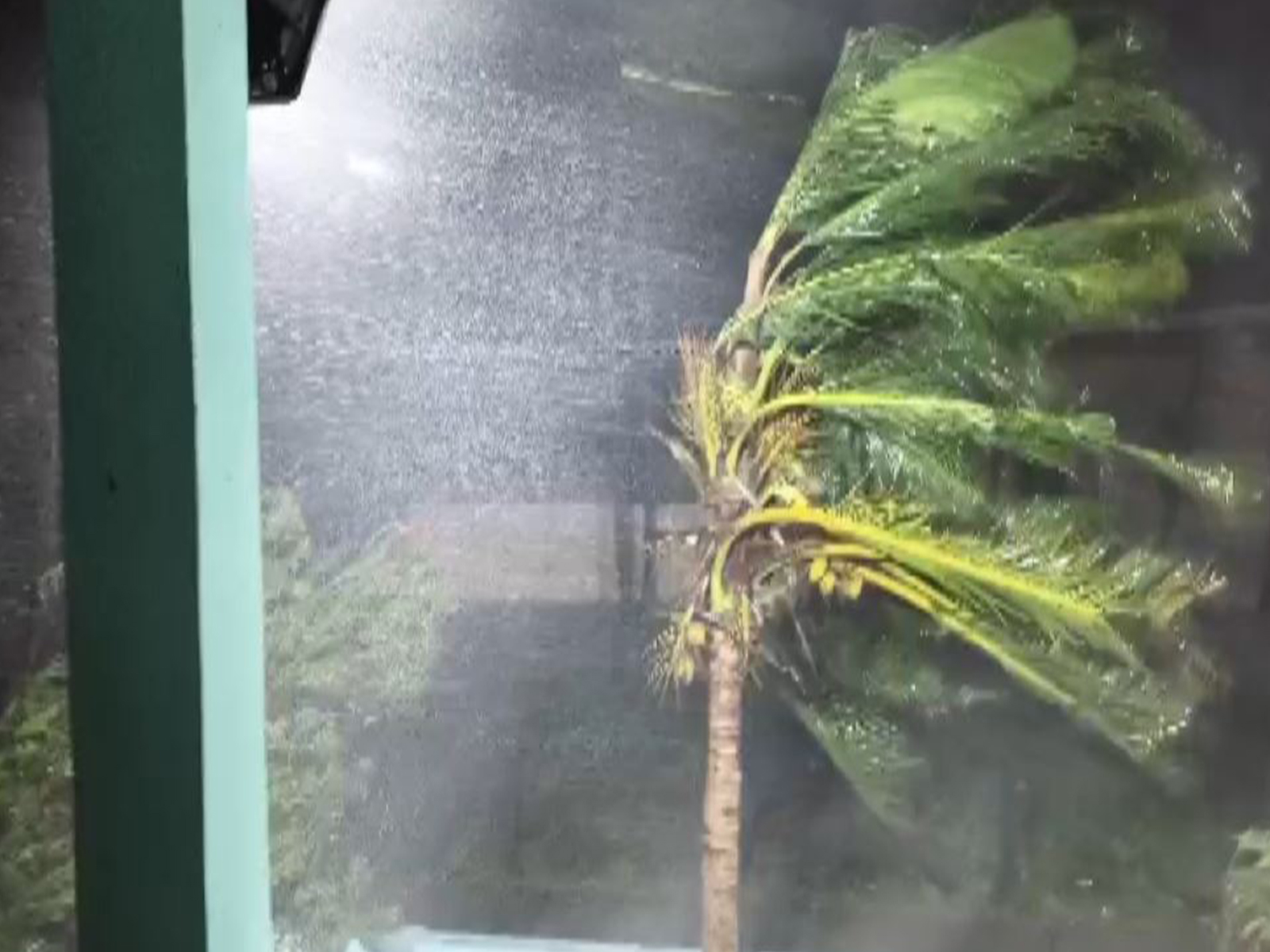Visuals from Konaseema district, Andhra Pradesh show the impact of strong winds (File Photo/I&PR)