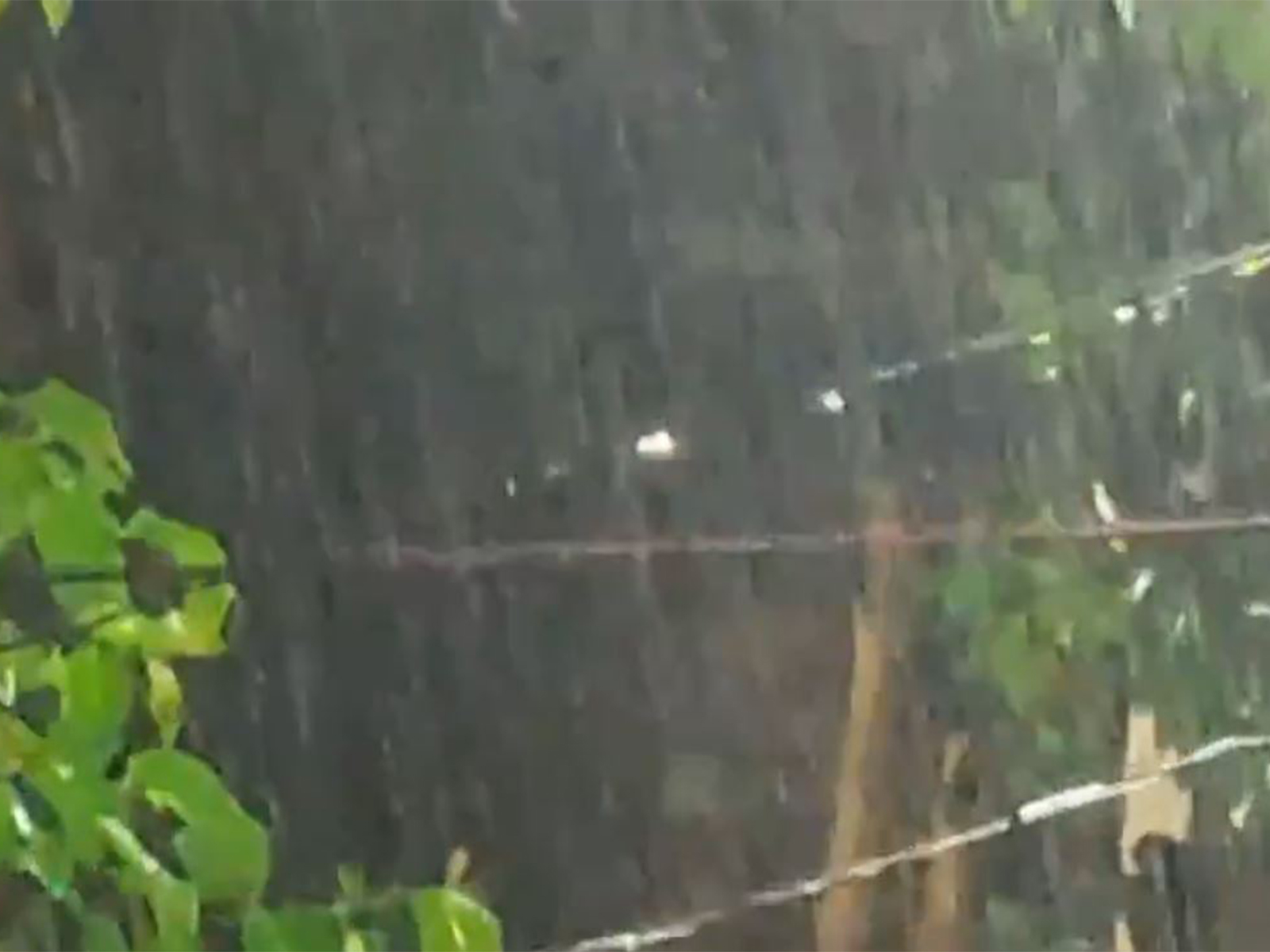Rainfall in Rayagada under influence of cyclone Arnab (Photo/ANI) Rainfall in Rayagada under influence of cyclone Arnab (Photo/ANI)