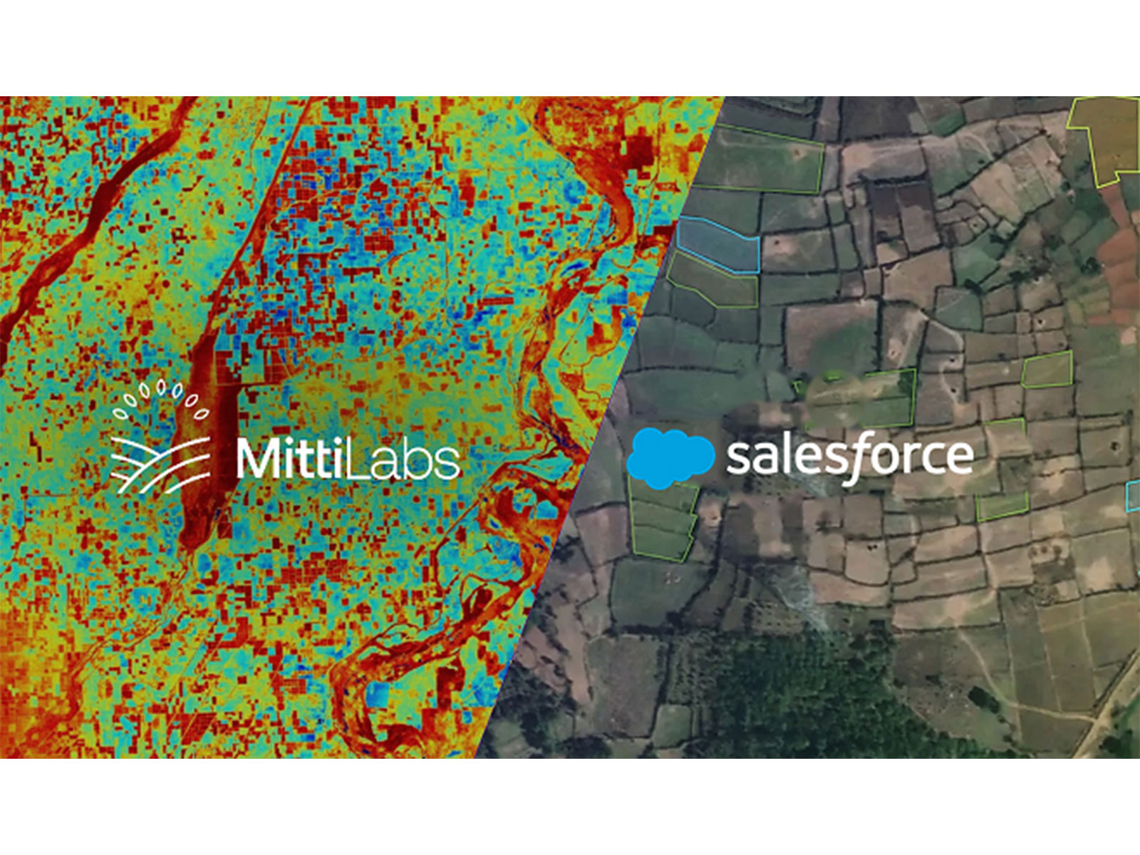 Mitti Labs & Salesforce partner to scale water-saving rice farming practices that reduce methane emissions Mitti Labs & Salesforce partner to scale water-saving rice farming practices that reduce methane emissions